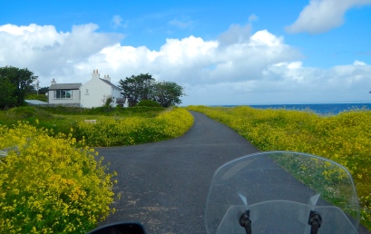 Small roads and an abundance of wild flowers along Irelands west coast