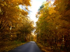 Riding through beautiful Autumn forest in Polands Masurian Lakes district