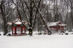 Just like a Christmas card - Chinese garden in Łazienki Park