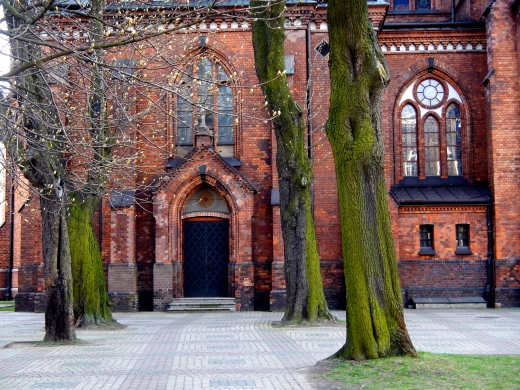 Beautiful moss covered trees at side entrance to the Church of St Michael the Archangel and St Florian the Martyr in Praga